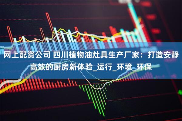 网上配资公司 四川植物油灶具生产厂家：打造安静高效的厨房新体验_运行_环境_环保