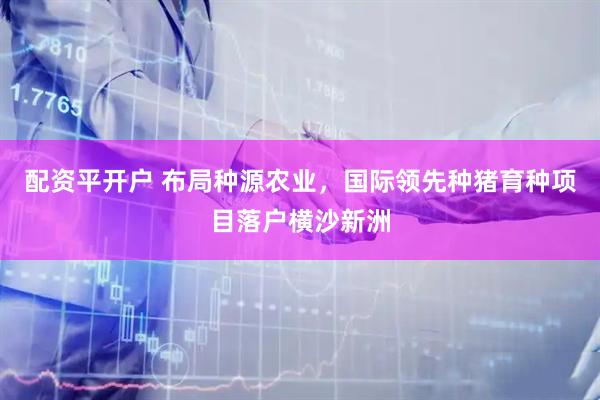 配资平开户 布局种源农业，国际领先种猪育种项目落户横沙新洲