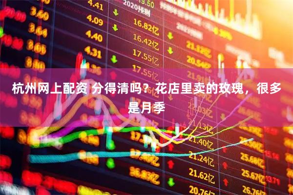 杭州网上配资 分得清吗？花店里卖的玫瑰，很多是月季